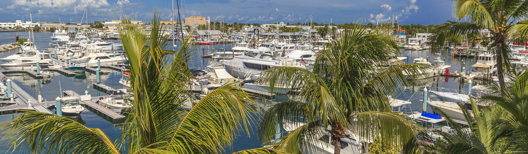 Galleon Marina boat slips and plam trees